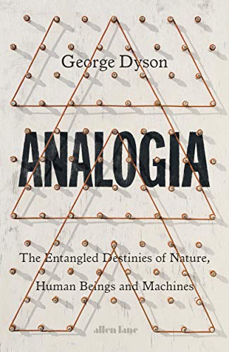 Analogia: The Entangled Destinies of Nature, Human Beings and Machines (Hardcover)