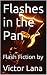 Flashes in the Pan: Flash F...
