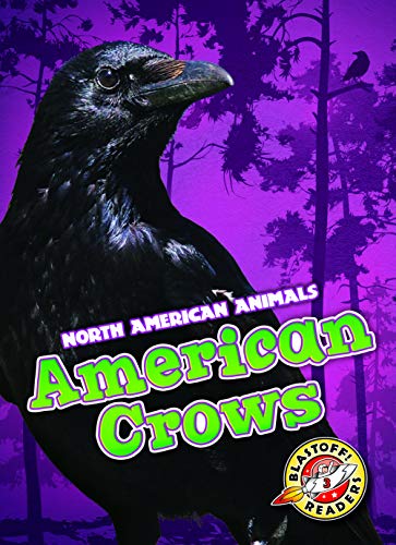 American Crows (North American Animals)