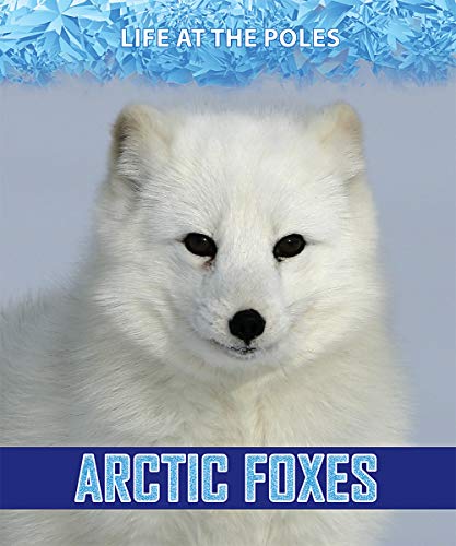 Arctic Foxes (Paperback)