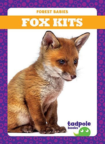 Forest Babies: Fox Kits (Hardcover)