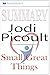 Summary of Small Great Things: A Novel by Jodi Picoult