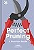 Perfect Pruning: A Practical Guide