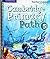 Cambridge Primary Path Level 5 Teacher's Edition by Zoltán Rézműves