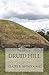 Druid Hill: Book 2