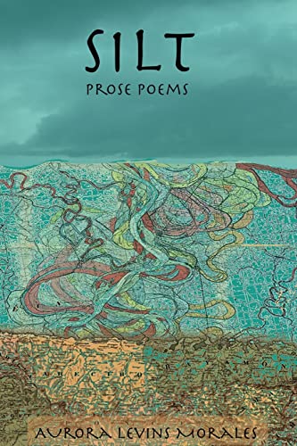 Silt: Prose Poems (Paperback)