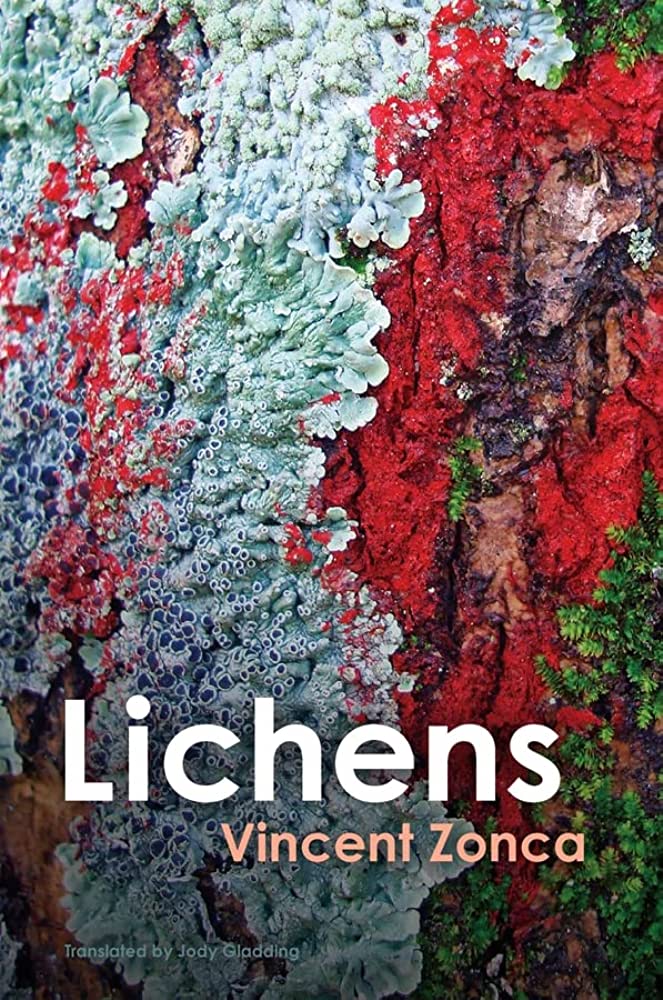 Lichens: Toward a Minimal Resistance (Hardcover)