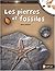 Les pierres et fossiles