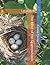 The Nest of the Sparrowhawk