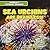 Sea Urchins Are Brainless!