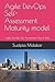 Agile DevOps Self-Assessment Maturity model: Agile DevOps Self-Assessment Nuts & Bolts