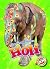 Holi (Celebrating Holidays)