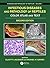 Infectious Diseases and Pathology of Reptiles: Color Atlas and Text, Diseases and Pathology of Reptiles Volume 1