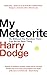 My Meteorite: Or, Without The Random There Can Be No New Thing