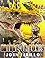 Bridge of Bones (Apocalypse Book 19)