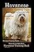 Havanese Havanese Training ...