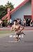 Marae by Huia Publishers