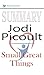 Summary of Small Great Things: A Novel by Jodi Picoult