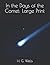In the Days of the Comet