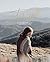 It Is Well: Walking Away Fr...