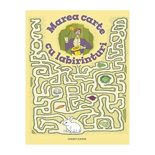 Marea carte cu labirinturi (Paperback)