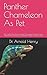 Panther Chameleon As Pet: T...