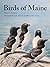 Birds of Maine