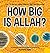 How Big Is Allah? (Children's First Questions)