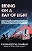 Riding on a Ray of Light by Krishnagopal Dharani