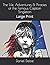The Life, Adventures & Piracies of the Famous Captain Singleton