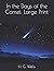 In the Days of the Comet: Large Print