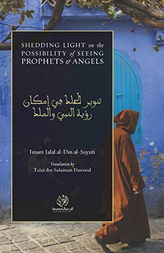 Shedding Light on the Possibility of Seeing Prophets and Angels (Paperback)