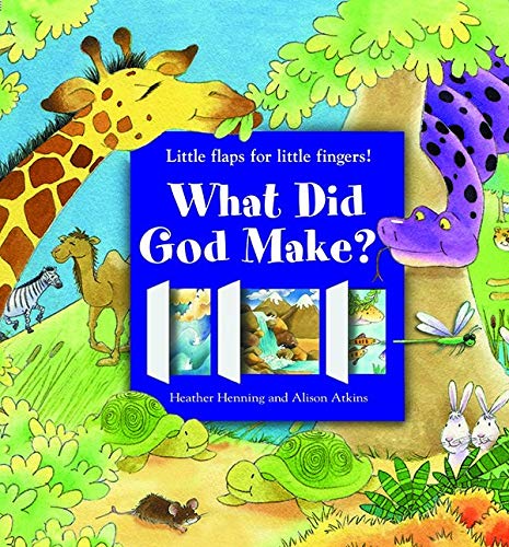What Did God Make? (Board Book)