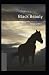 Black Beauty Illustrated