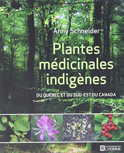 Plantes médicinales indigènes: Du Québec et du Sud-Est du Canada (Mass Market Paperback)