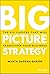 Big Picture Strategy by Marta Dapena Baron