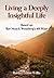 Living a Deeply Insightful Life: Based on Rav Noach Weinberg's 48 Ways