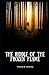 The Riddle of the Frozen Flame Illustrated