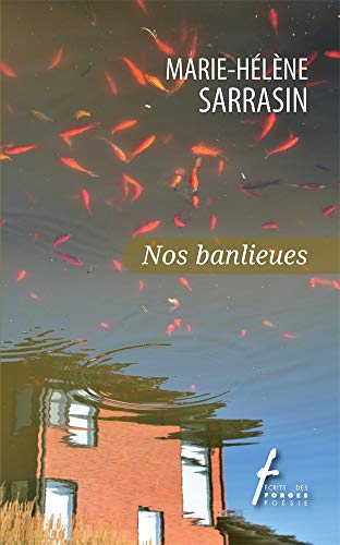 Nos banlieues (Paperback)