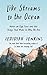 Like Streams to the Ocean: Notes on Ego, Love, and the Things That Make Us Who We Are