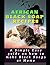 AFRICAN BLACK SOAP RECIPES: A simple Easy guide on how to make Black Soaps at Home