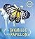 La chenille et le papillon (Cycle de vie)