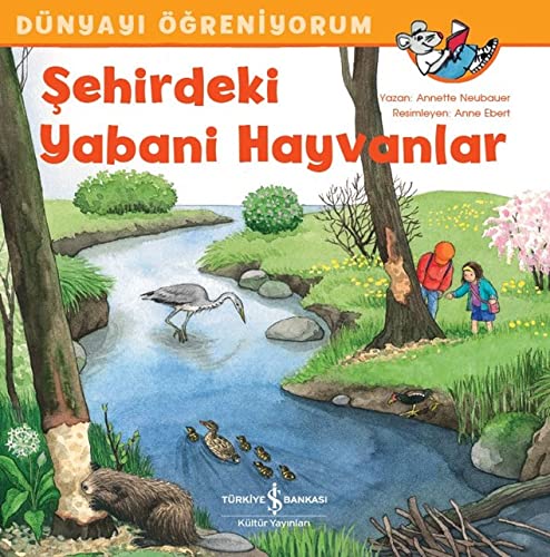 Dünyayı Öğreniyorum: Şehirdeki Yabani Hayvanlar (Hardcover)