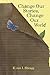 Change Our Stories, Change Our World by Karen Shragg