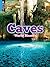 Caves (World Biomes)
