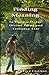 Finding Meaning by Lucy Costigan