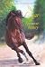 Izar de spaanse beauty by Christine Linneweever Izar de spaanse beauty by Christine Linneweever