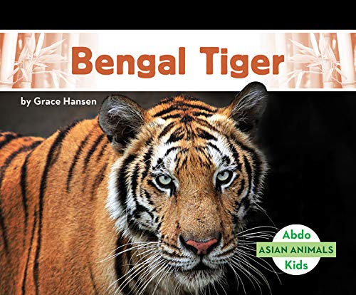 Bengal Tiger (Asian Animals)