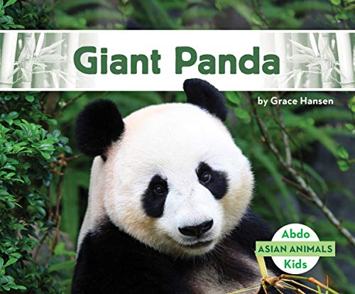 Giant Panda (Asian Animals)
