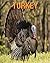 Turkey: Children's Books --- Amazing Pictures and Facts About Turkey